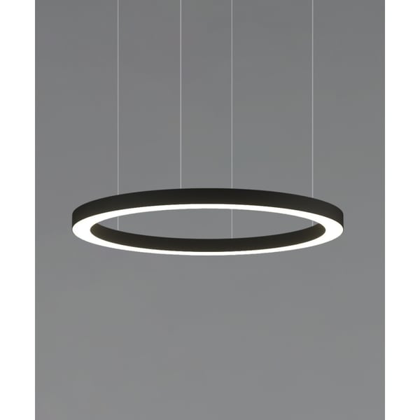Circular Light Fixture